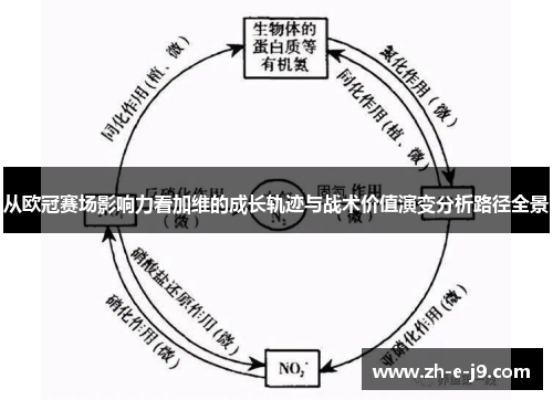 从欧冠赛场影响力看加维的成长轨迹与战术价值演变分析路径全景 从欧冠赛场影响力看加维的成长轨迹与战术价值演变分析路径全景