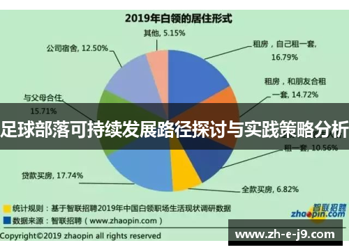 足球部落可持续发展路径探讨与实践策略分析 足球部落可持续发展路径探讨与实践策略分析