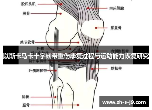 以斯卡马卡十字韧带重伤康复过程与运动能力恢复研究 以斯卡马卡十字韧带重伤康复过程与运动能力恢复研究